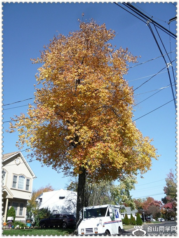 P1090017_.jpg