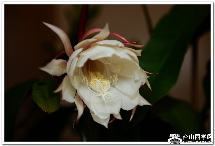 nEO_IMG_DSC_8504.jpg