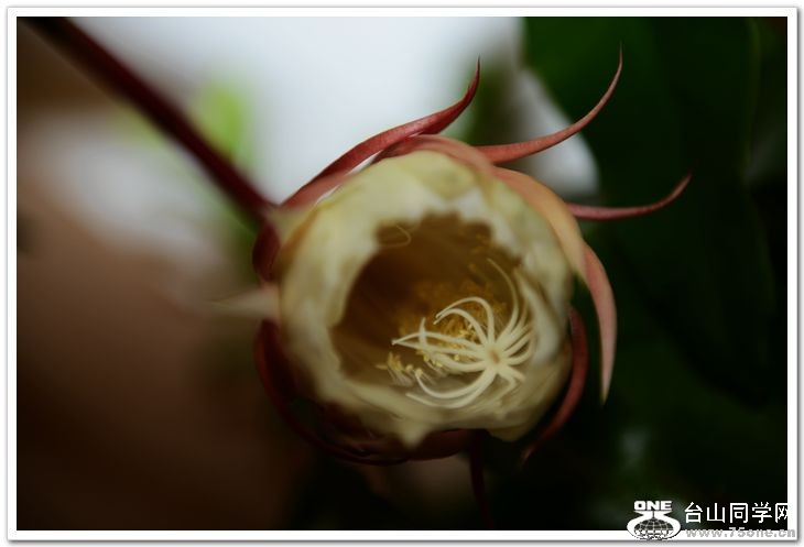 nEO_IMG_DSC_8482.jpg