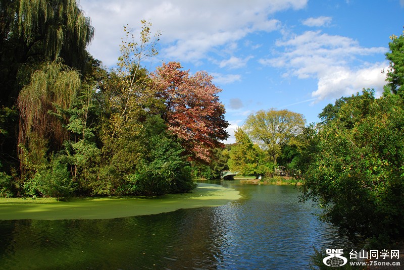 չ԰ɫ&nbsp;&nbsp;10.12.2012 037_.jpg