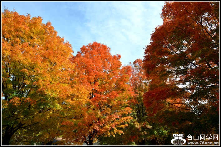 10.17.2012 Fall 014.jpg