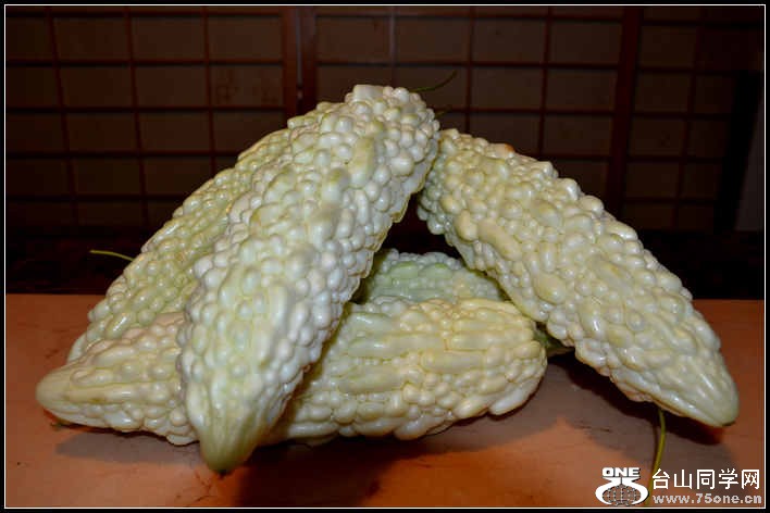 9.21.2012 Boston 009.jpg