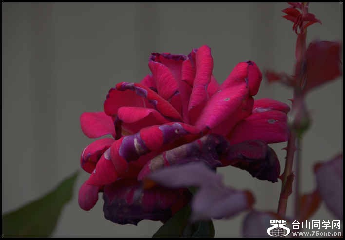 10.17.2012 Fall 226.jpg