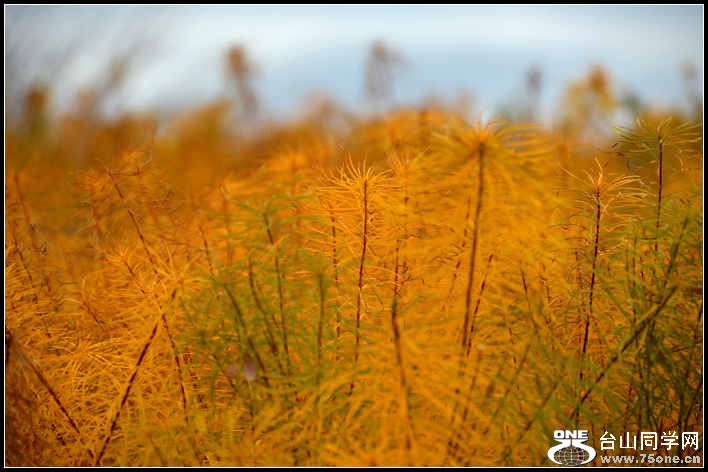 10.17.2012 Fall 319.jpg