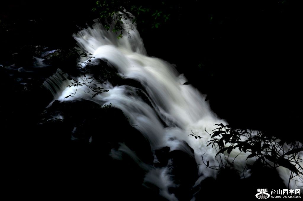 DSC_0246.jpg