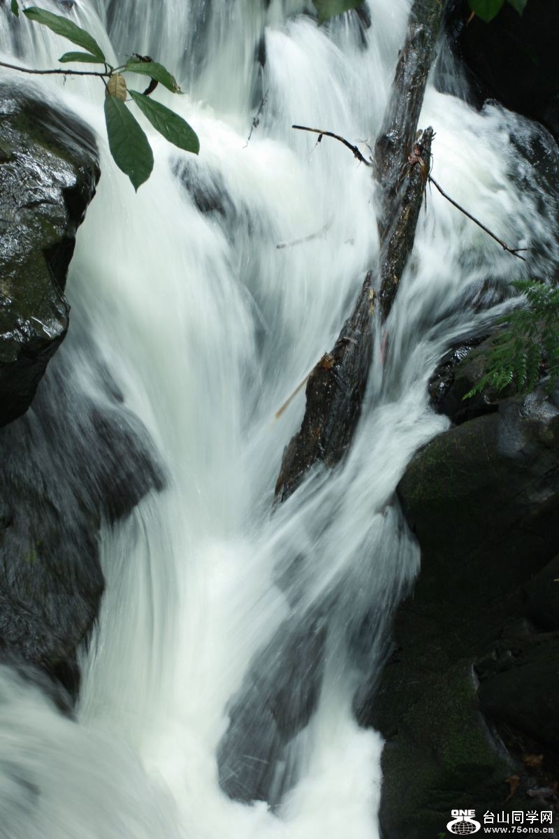 _MG_1825.jpg