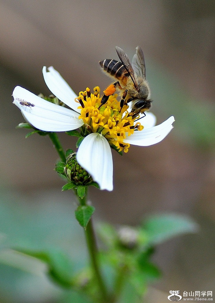 DSC_3420.jpg