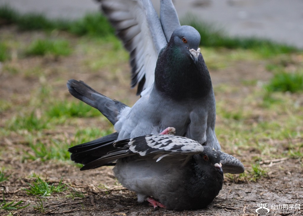 DSC_3029.jpg