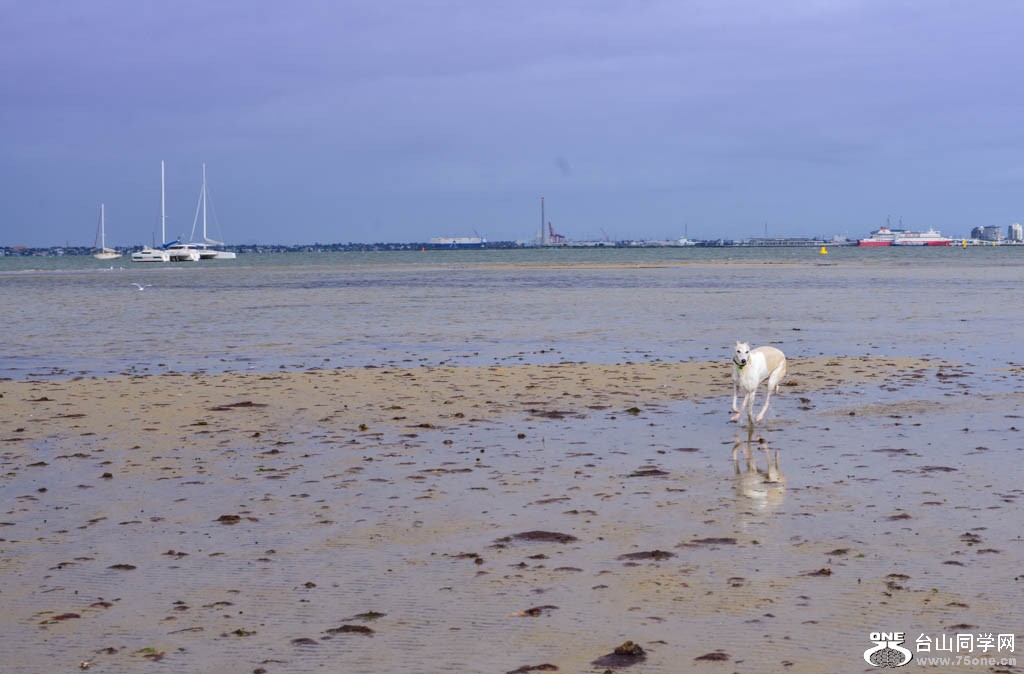 DSC_2754.jpg