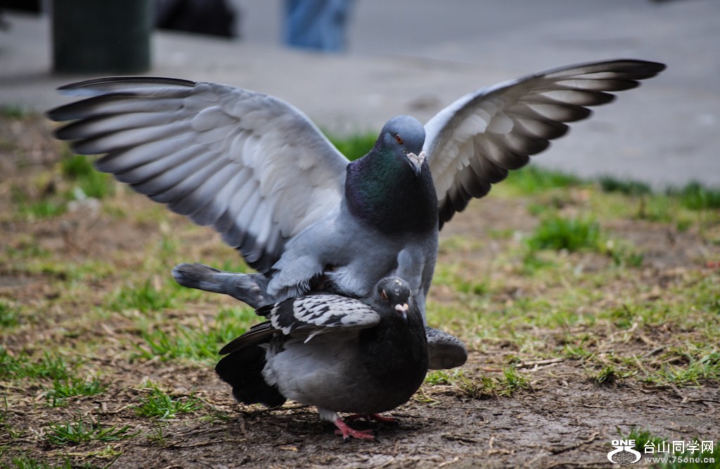 DSC_3028.jpg