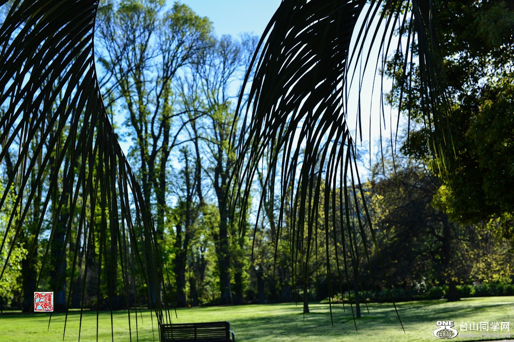 DSC_9598.jpg