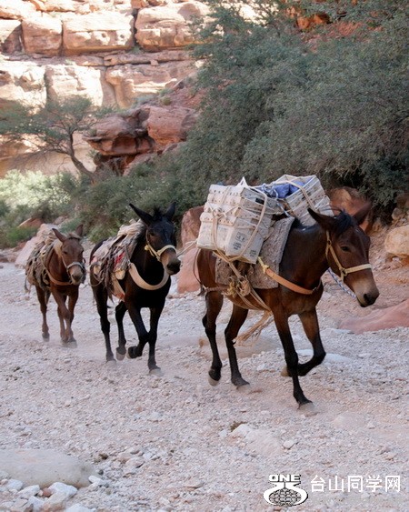 havasupai091812_3023.JPG