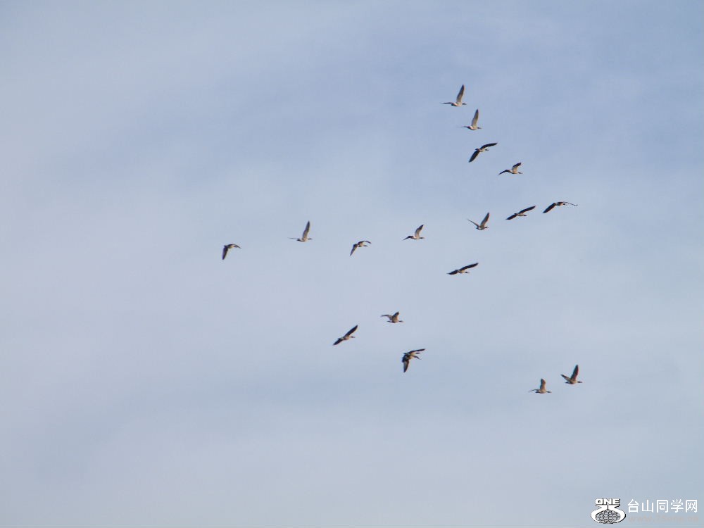 DSCF4176.JPG