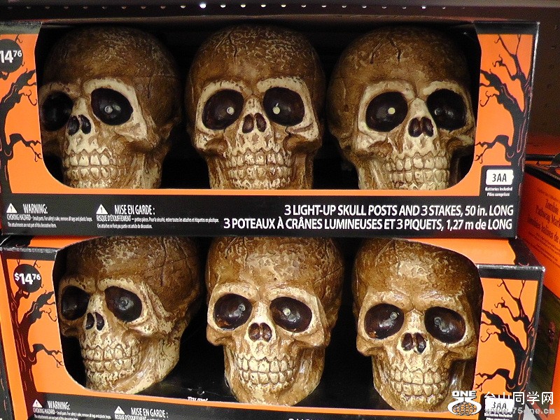 H2660050.JPG