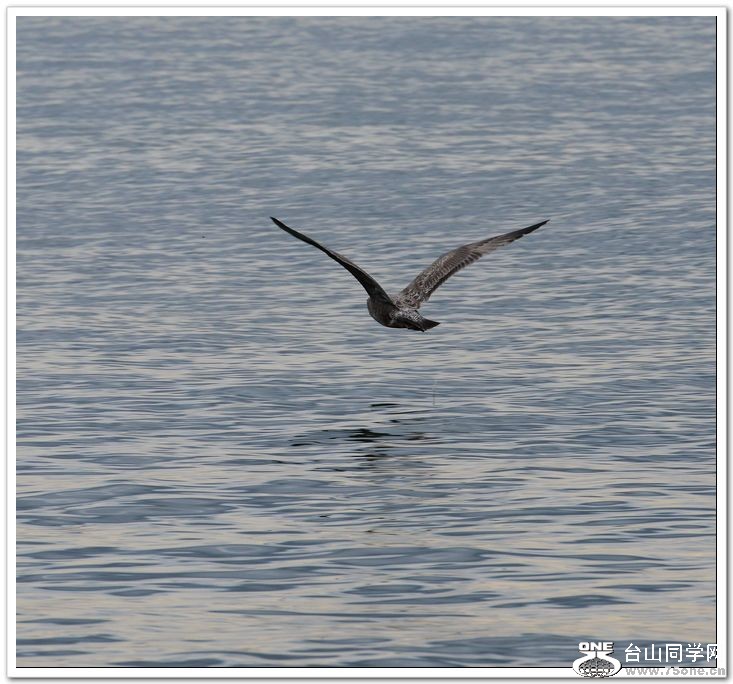 nEO_IMG_DSC_7011.jpg