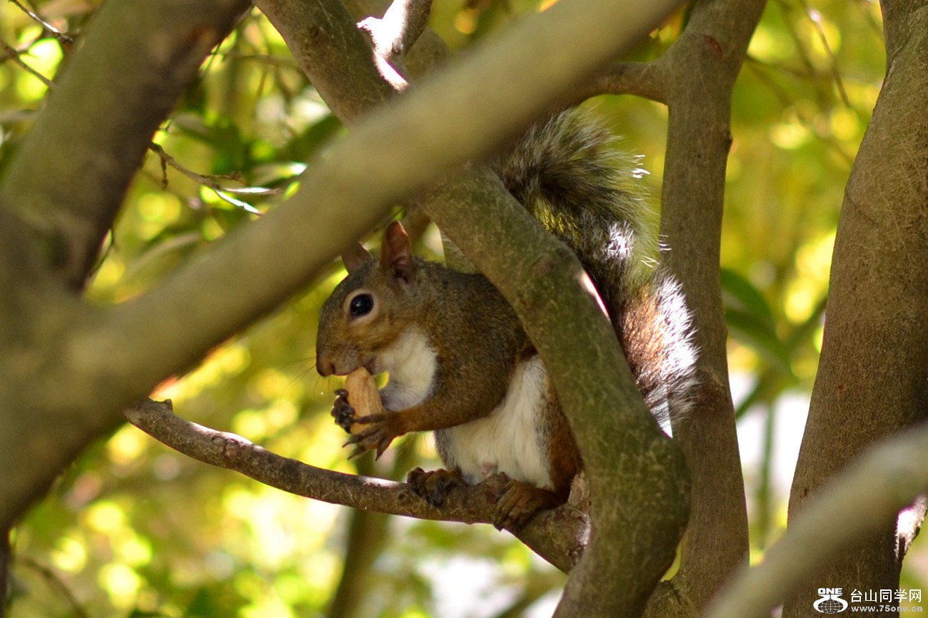 DSC_0176_03.jpg