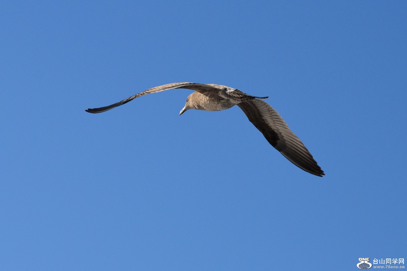 DSC_0478_68.jpg