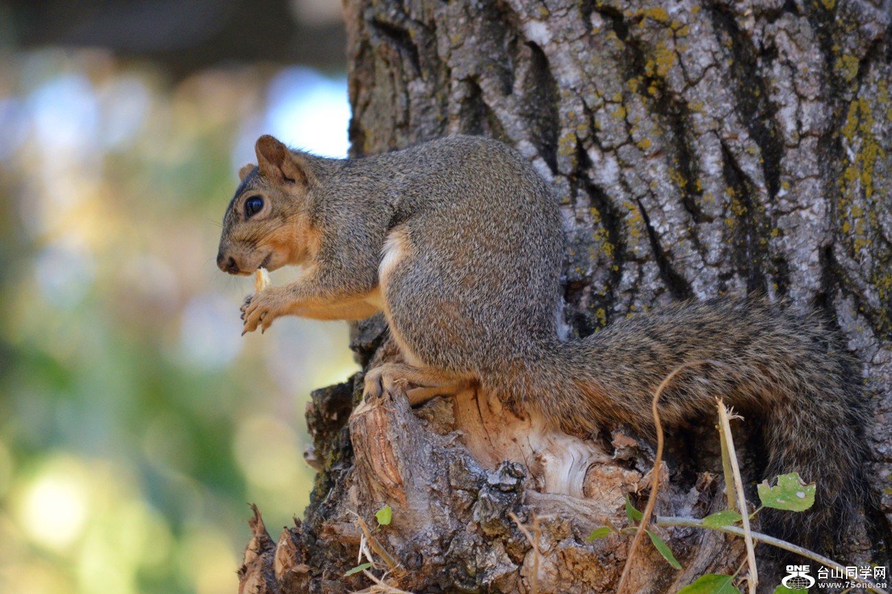 DSC_0365_23.jpg