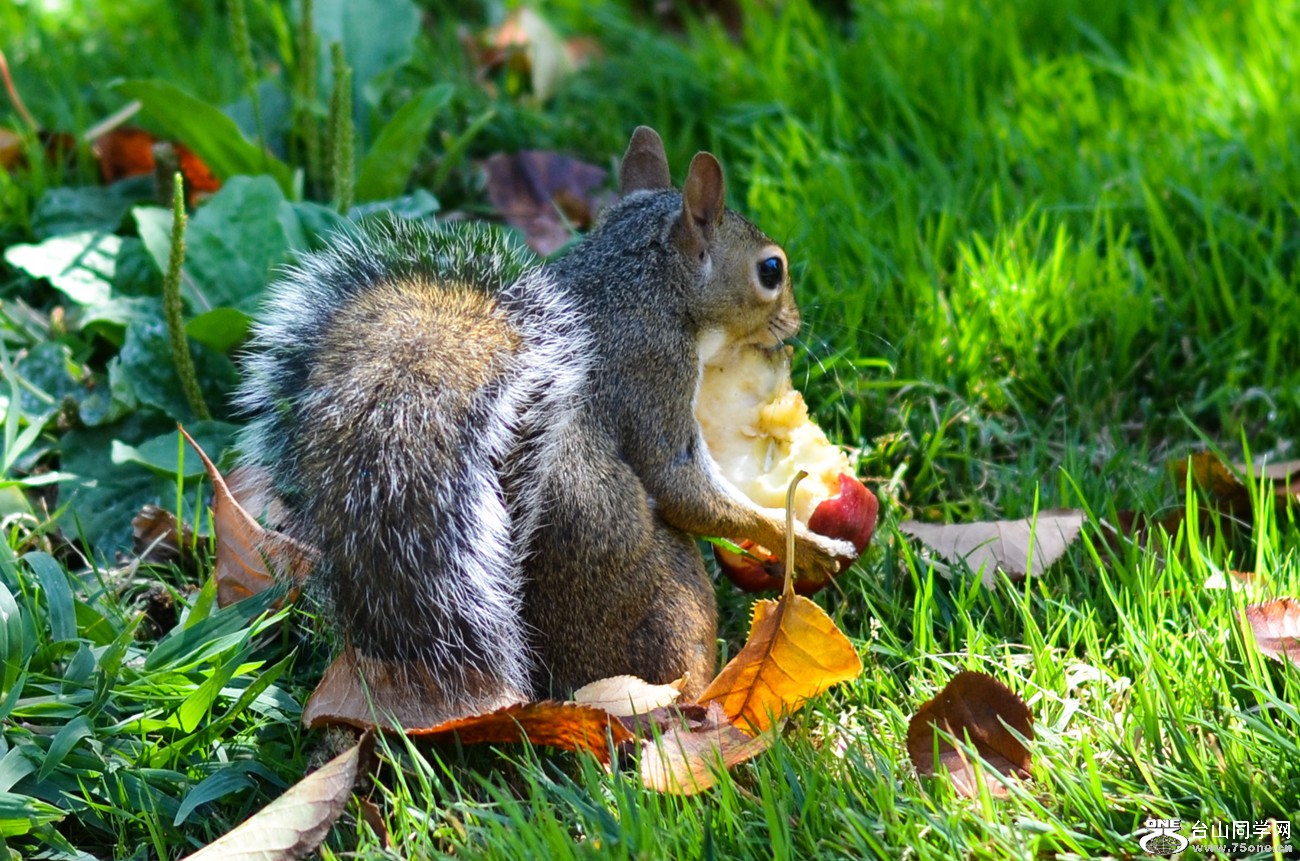 DSC_0131_009.jpg