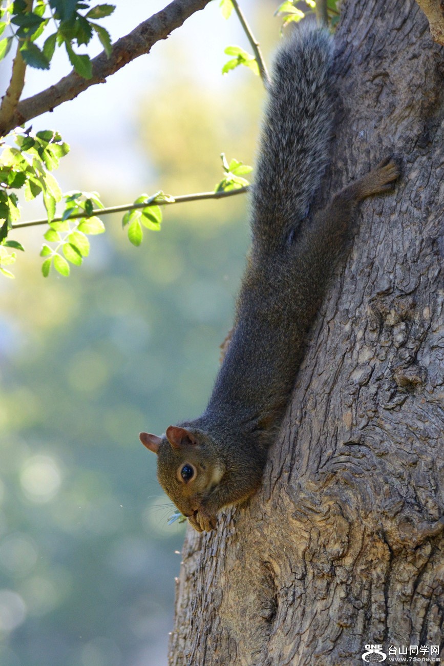 DSC_0032_3.jpg