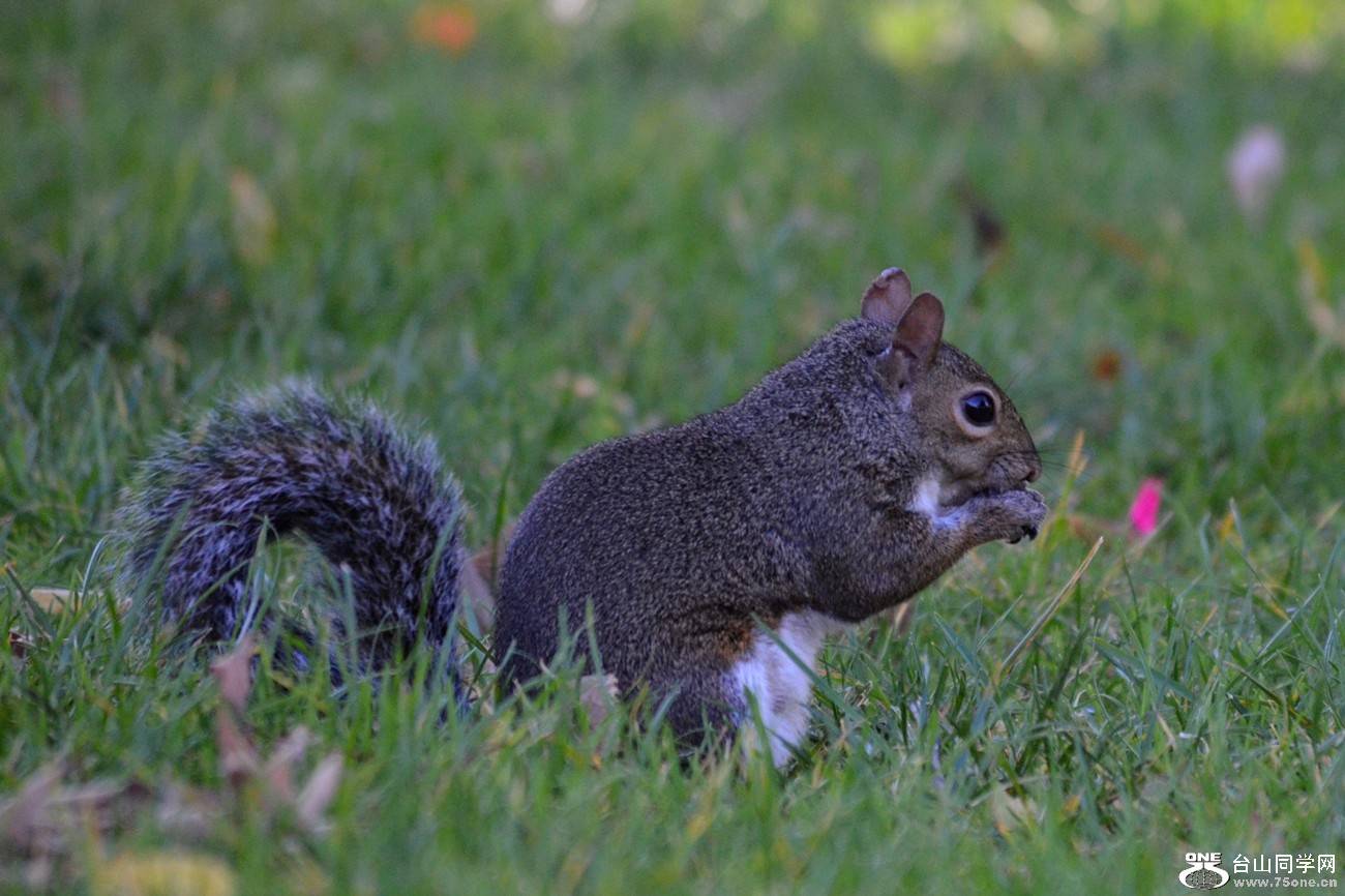 DSC_0034_1.jpg