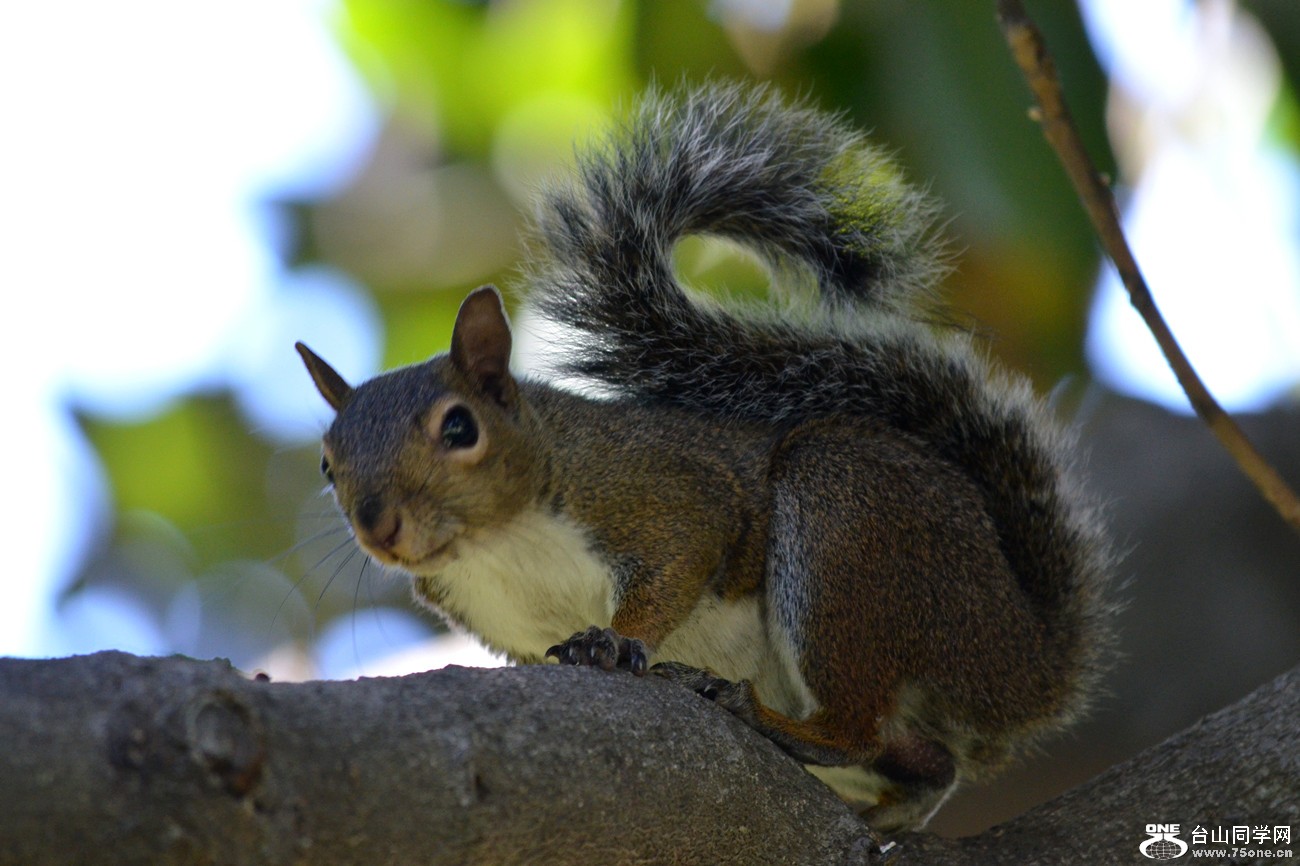 DSC_0806_34.jpg