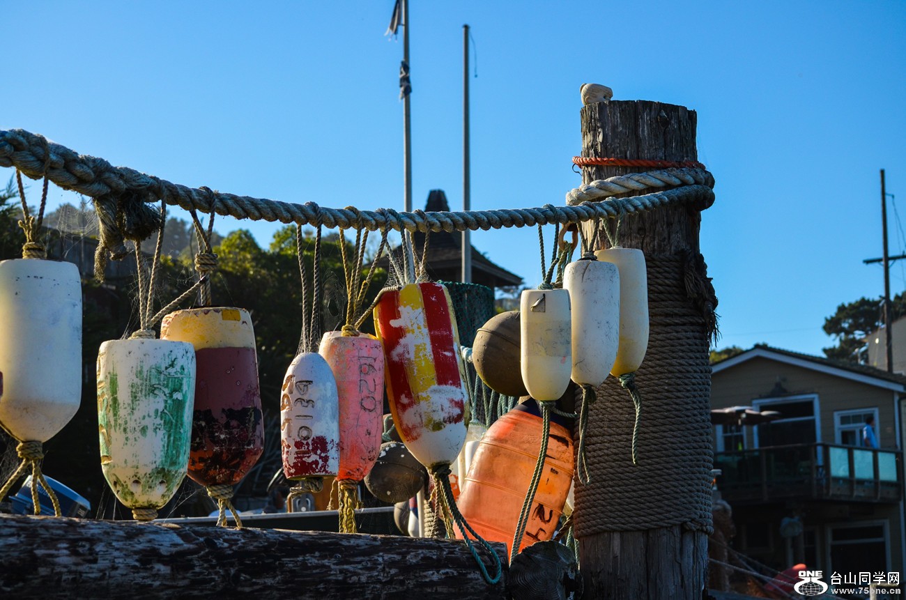 DSC_0943_34.jpg