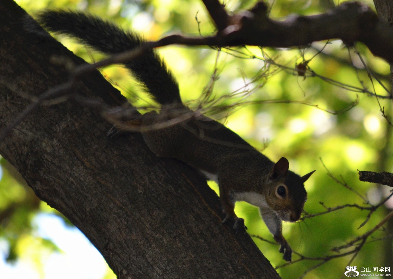 DSC_0215_22.jpg
