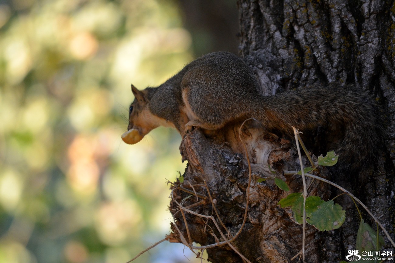 DSC_0360_22.jpg