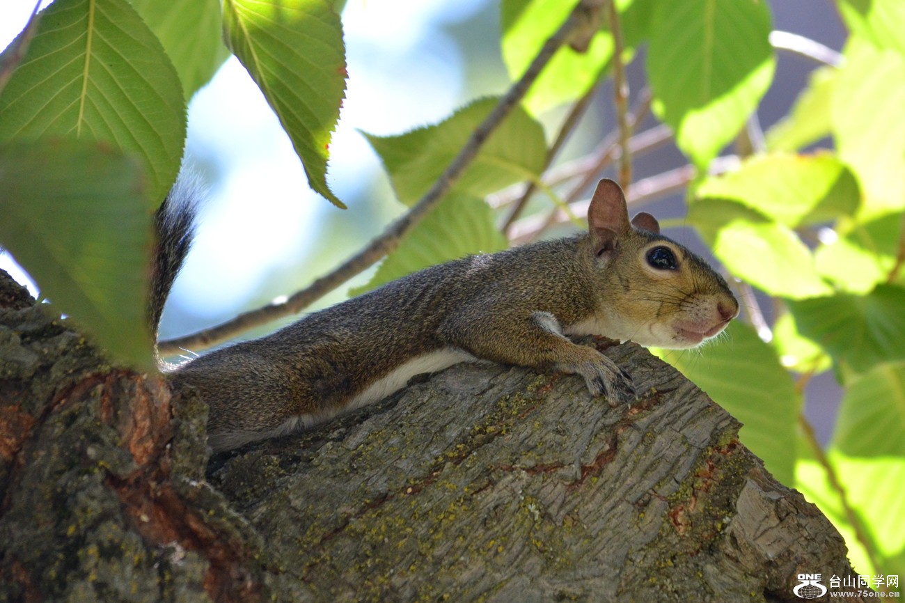DSC_0142_04.jpg