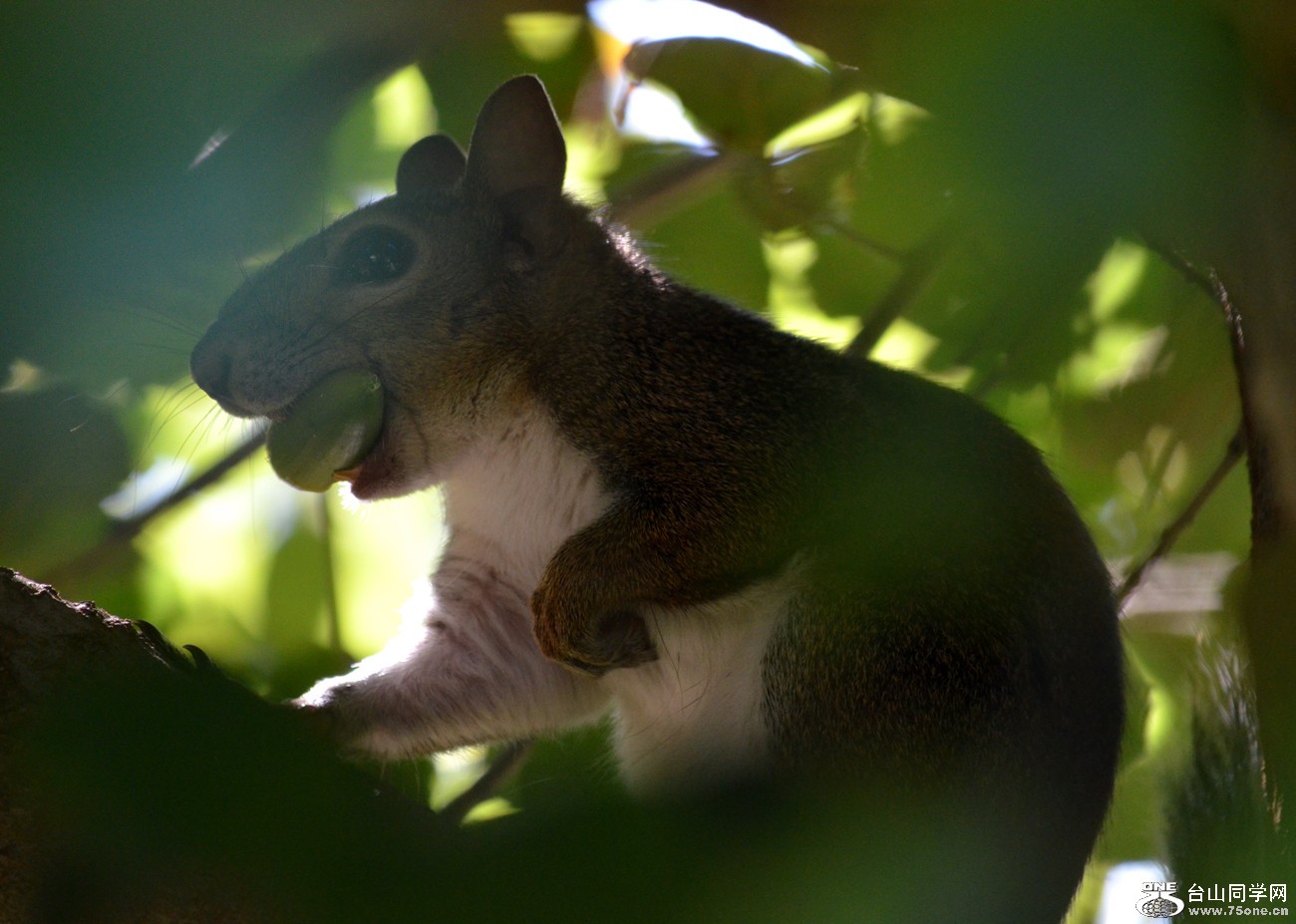 DSC_0147_09.jpg