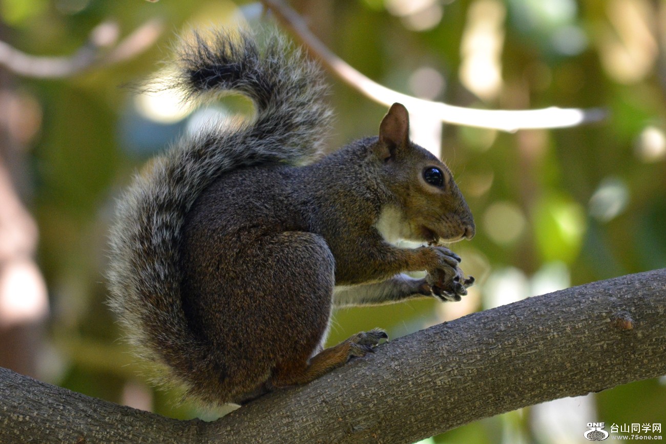 DSC_0770_28.jpg