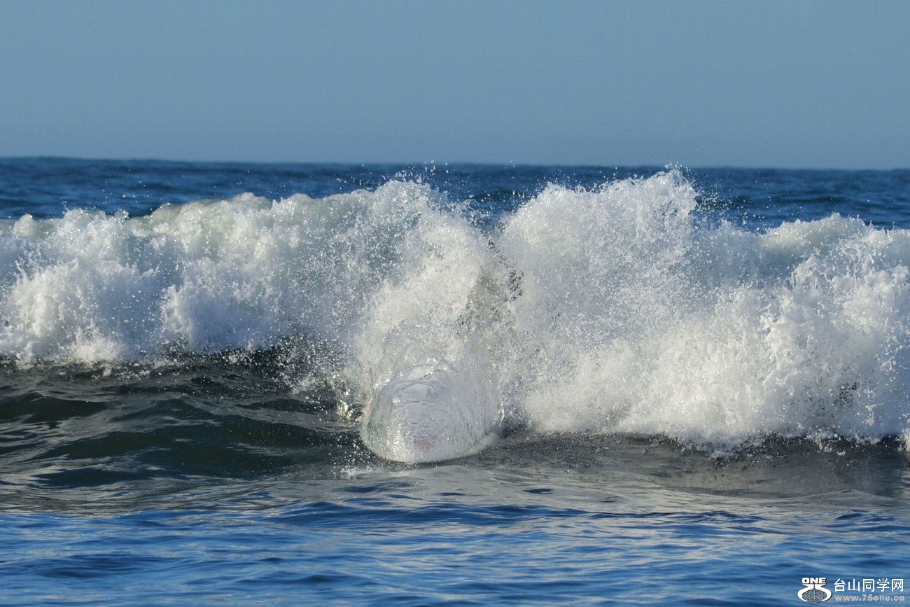 DSC_0006_86.jpg