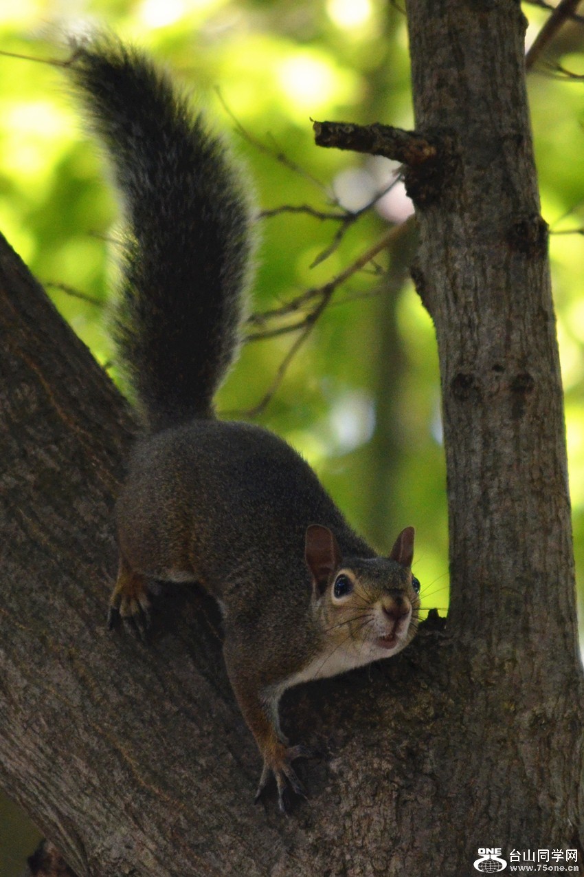 DSC_0216_23.jpg