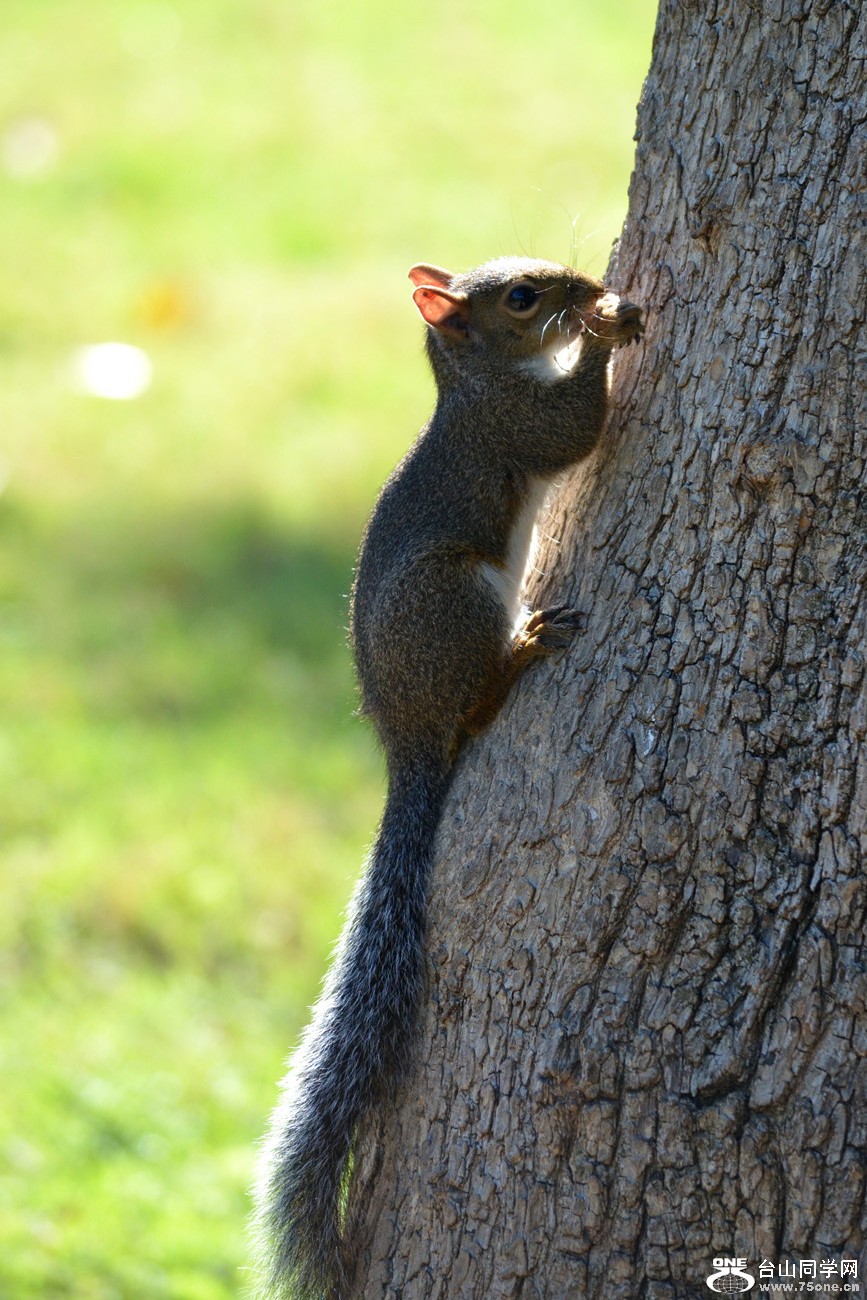 DSC_0029_6.jpg
