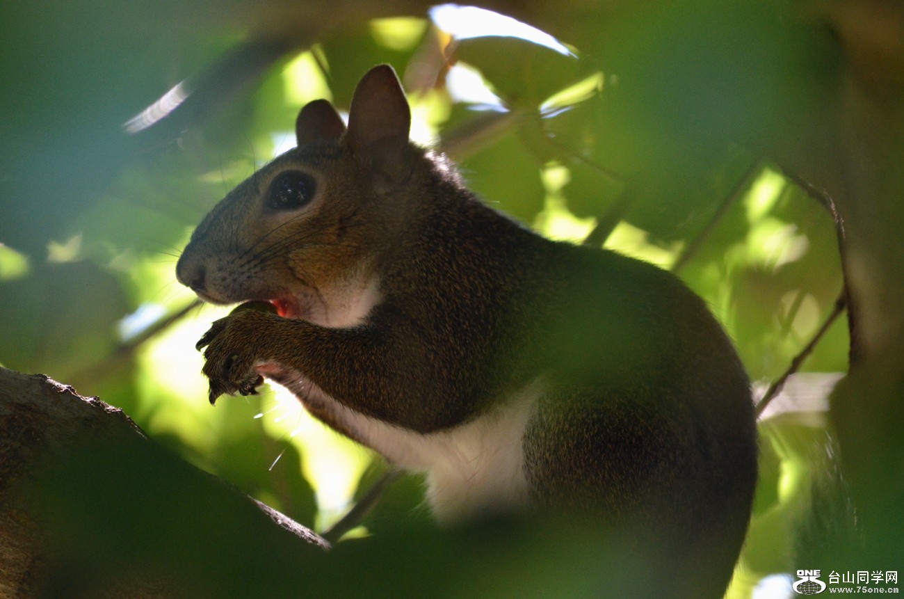 DSC_0150_00.jpg