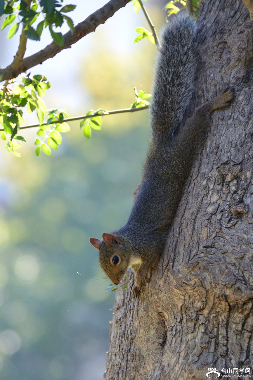 DSC_0031_4.jpg