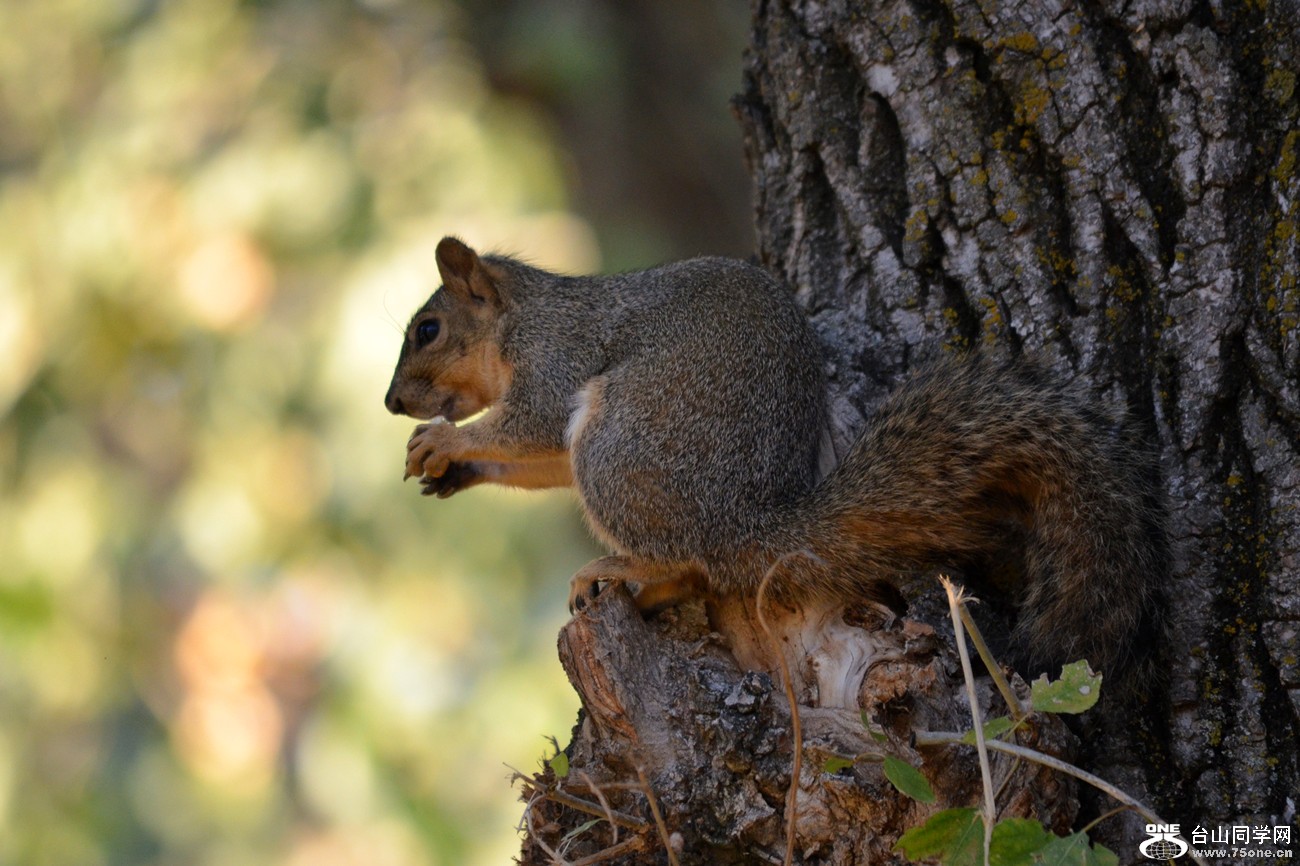 DSC_0357_21.jpg