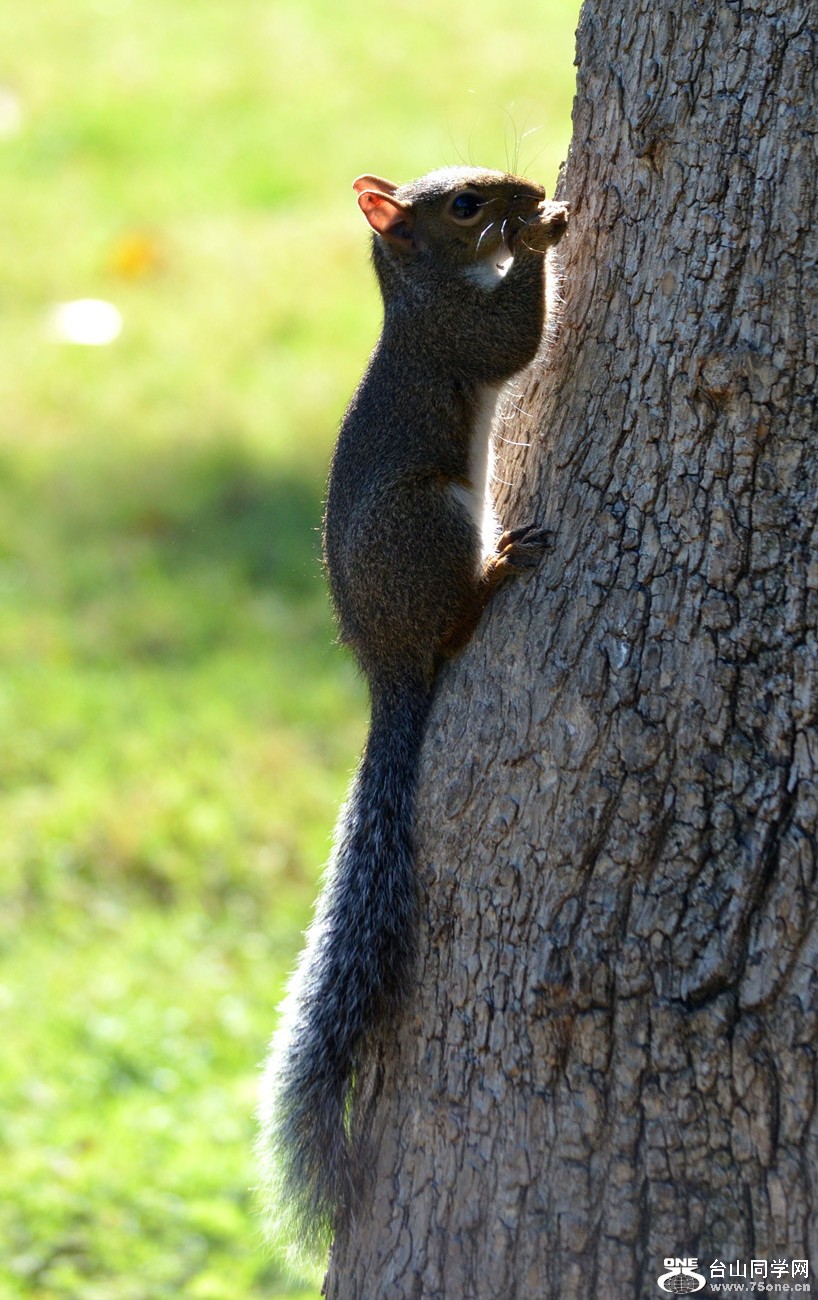 DSC_0028_7.jpg