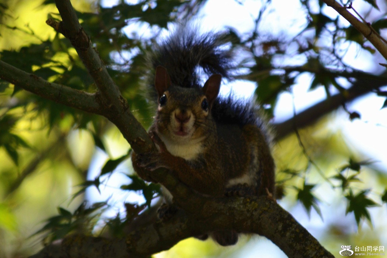 DSC_0187_01.jpg