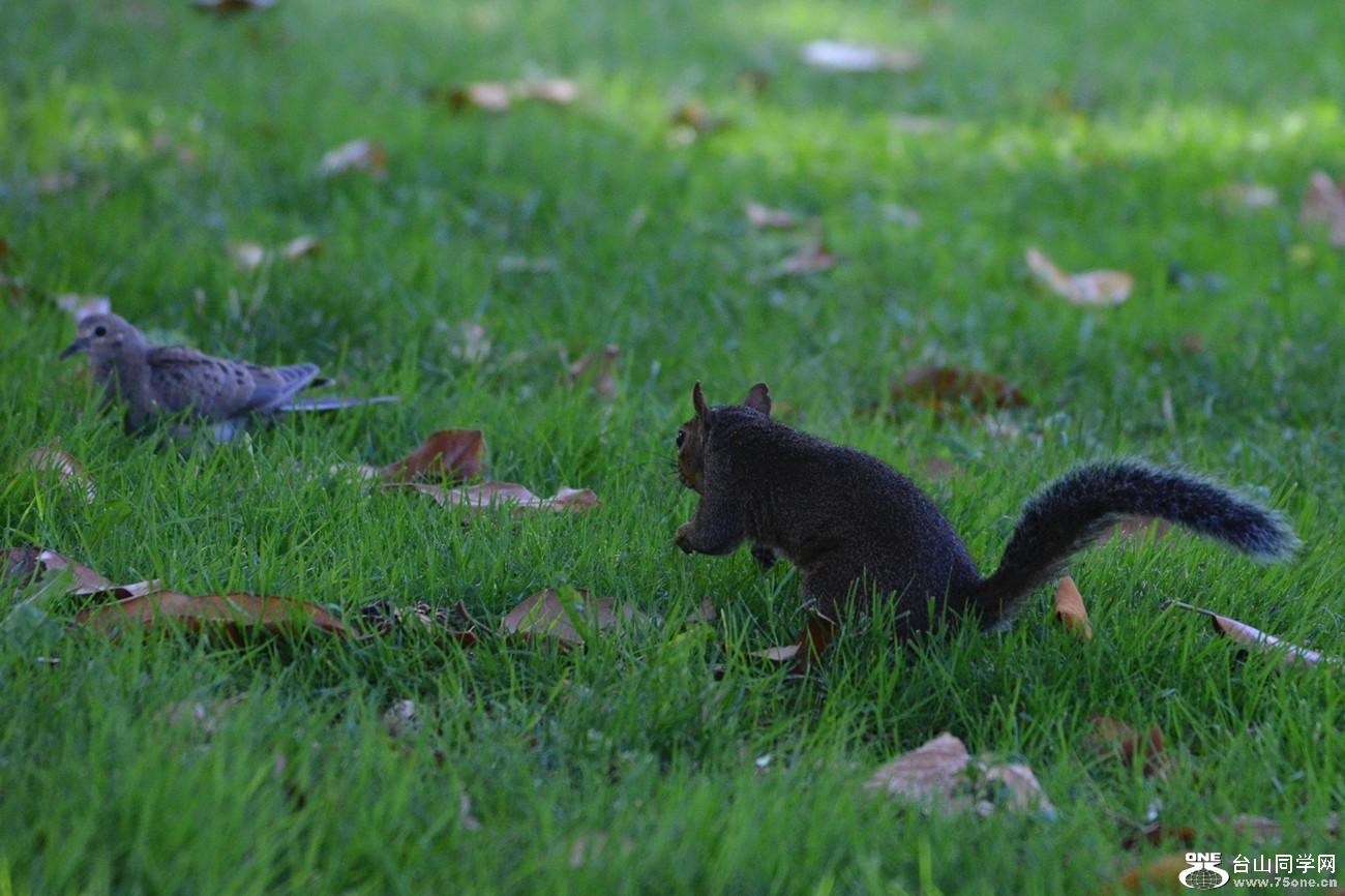 DSC_0845_30.jpg