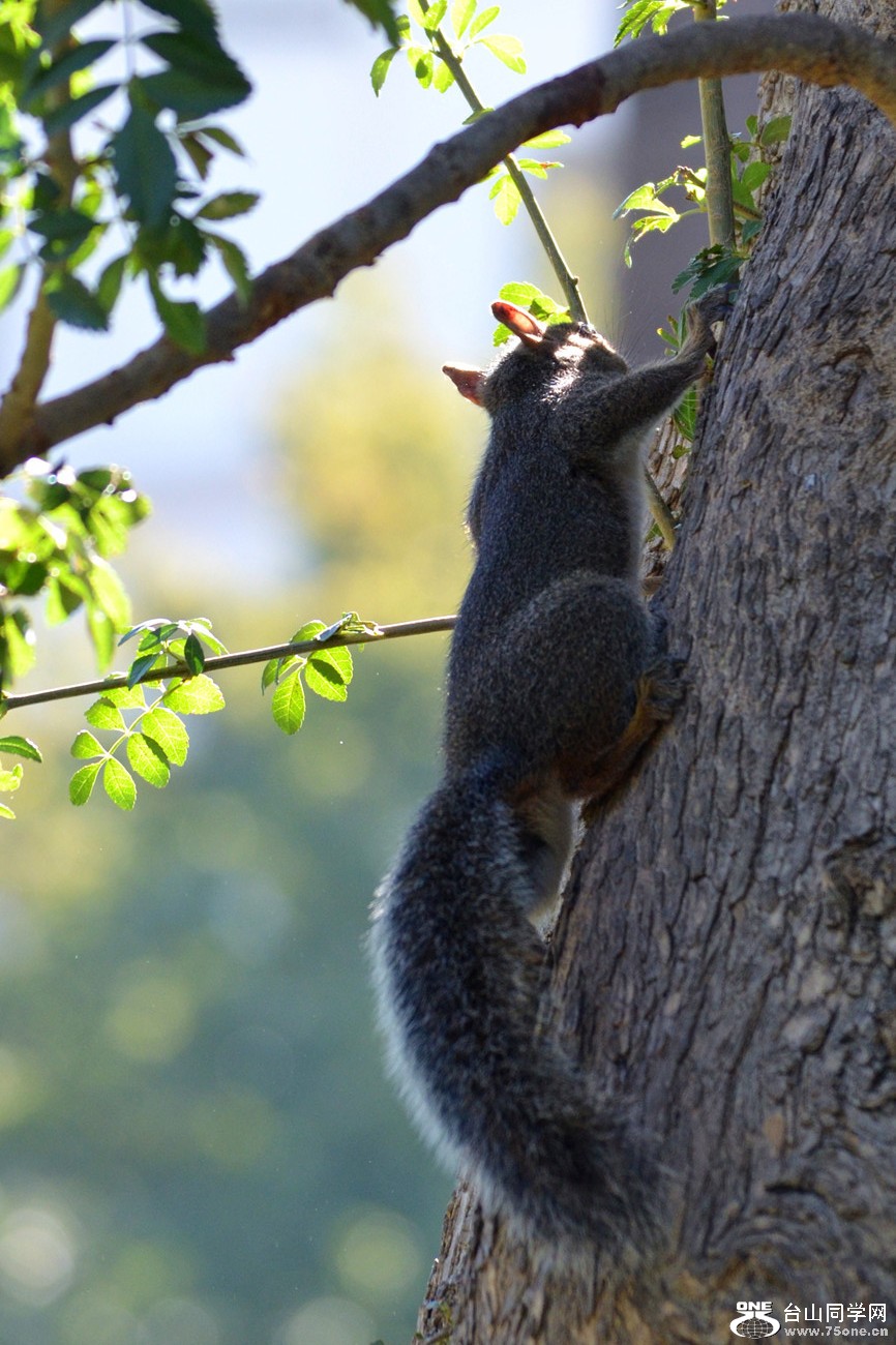 DSC_0033_2.jpg
