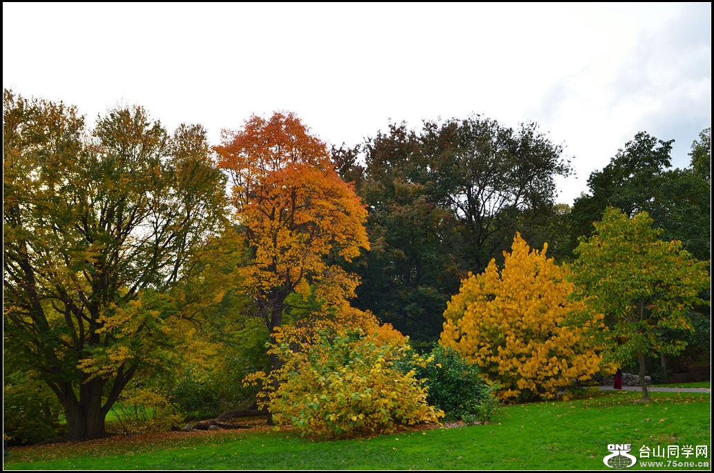 DSC_8054.jpg