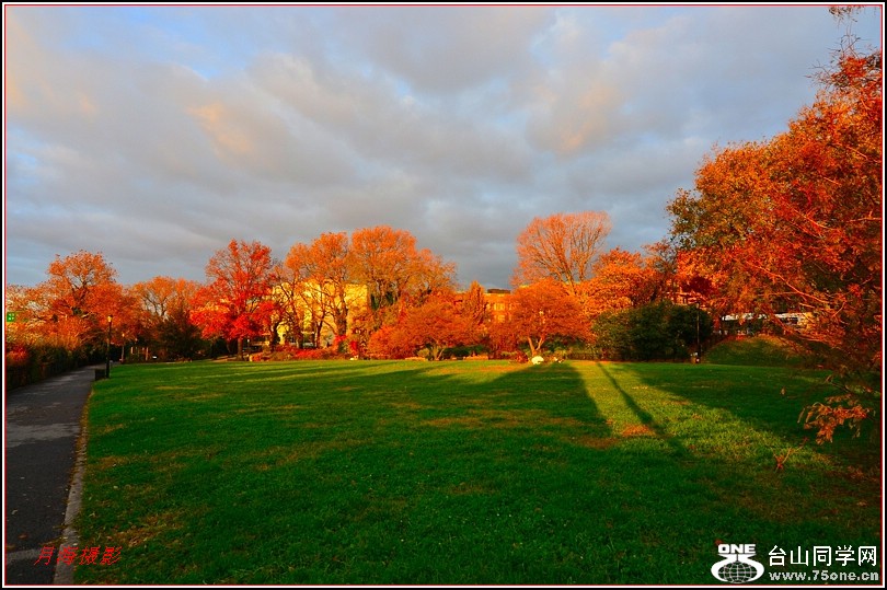 DSC_8559.jpg