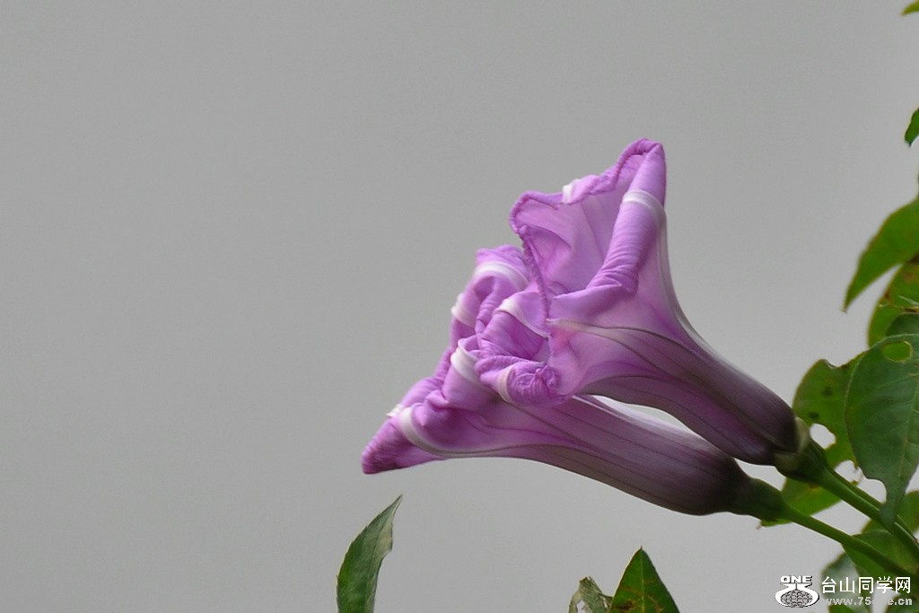 DSC_3691.JPG