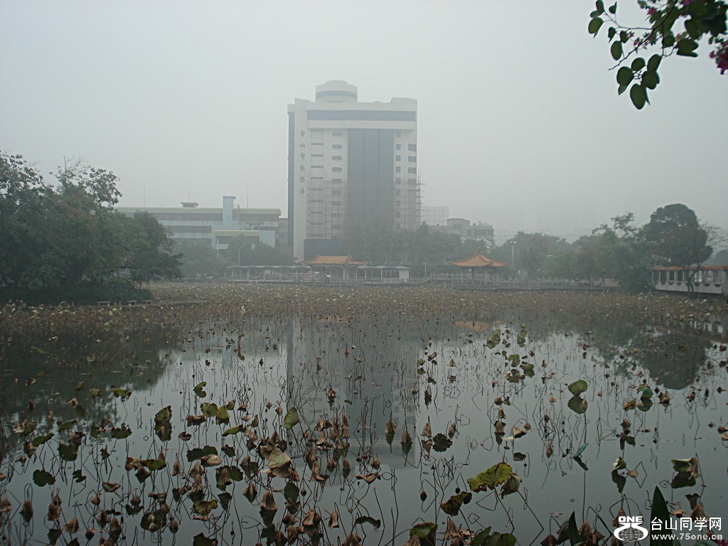 DSC00040.jpg