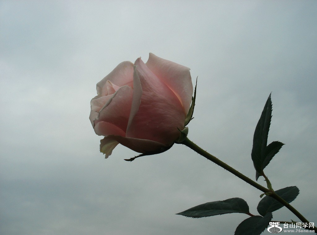 DSC00032.jpg