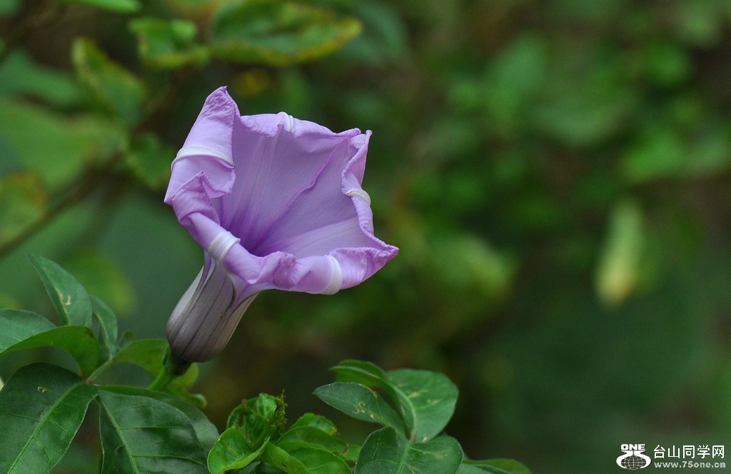 DSC_3680.JPG