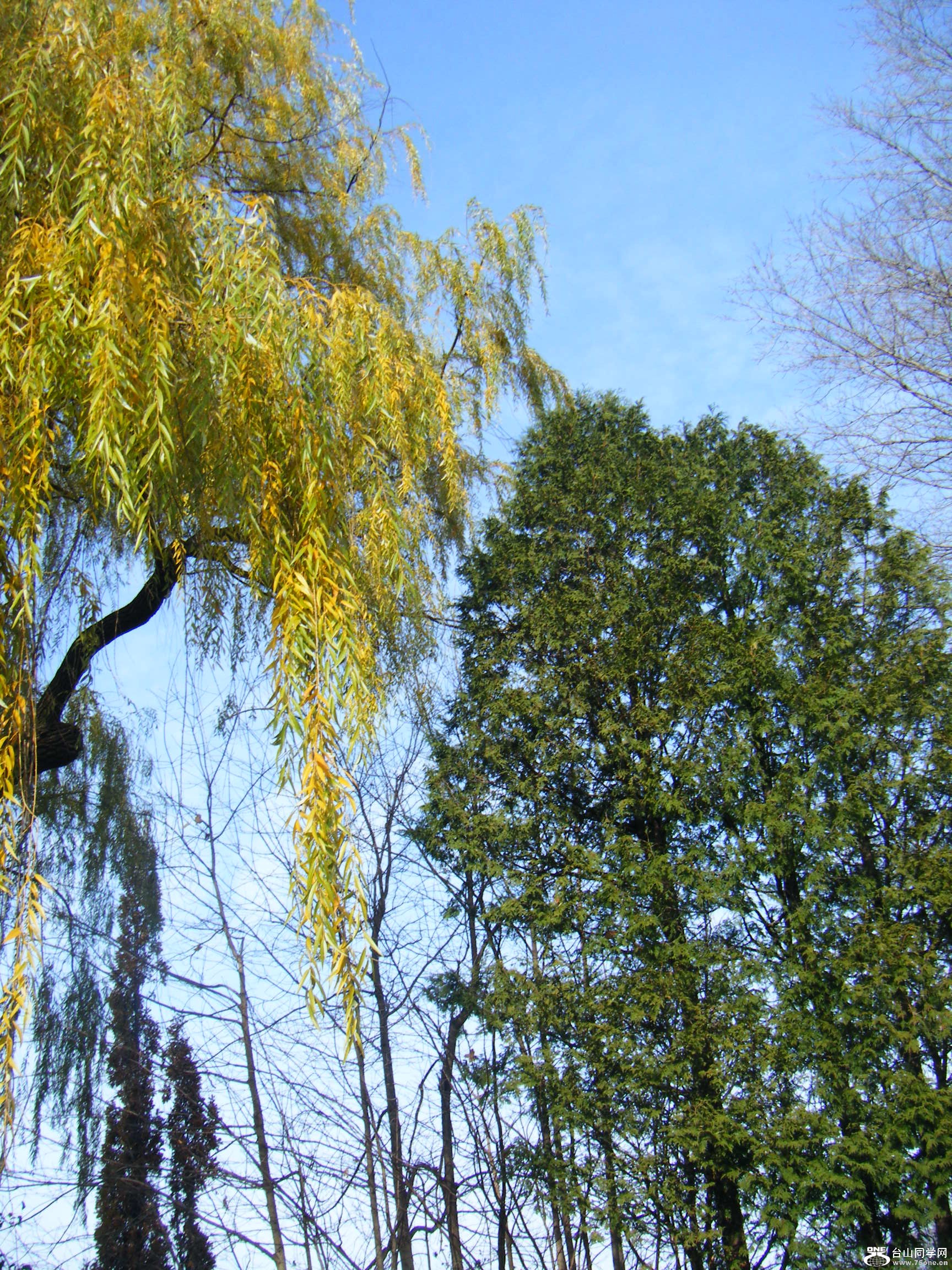 S 006.JPG