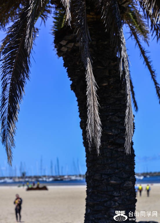 DSC_6988.jpg
